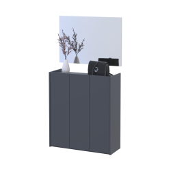 Hallway Doros Kassel with mirror Graphite 3 chipboard 97x40x110 (42005497)